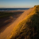 Cavendish sandspit, dunes, PEINP